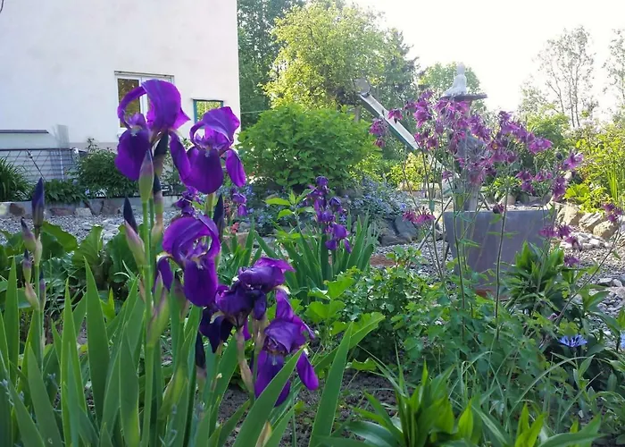 Apartamento Ruhe Auf Dem Land 1 - Maria